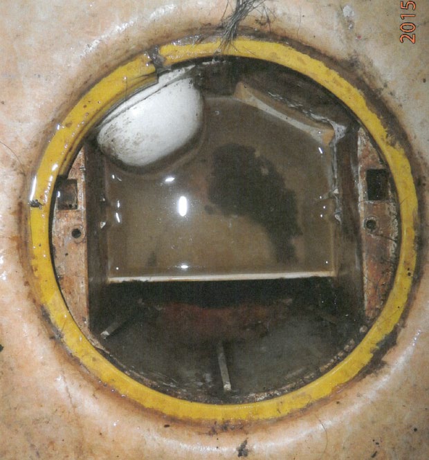 Purus Beta