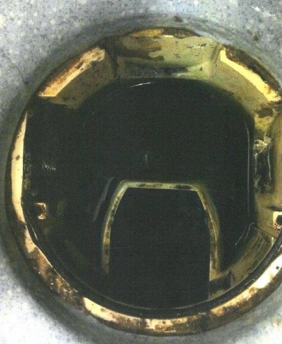 Purus Delta
